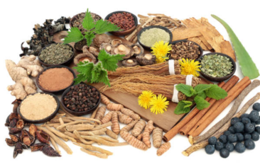 Centella Asiatica Leaf (Gotu Kola)